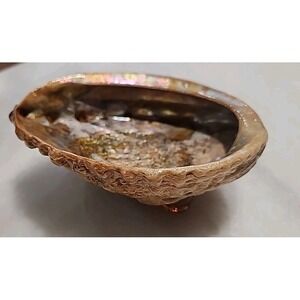 Vintage Abalone Shell Trinket Dish Lucite Feet 5.5x5 Silver  Highly Iridescent